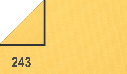Fakro light filtering blinds 243