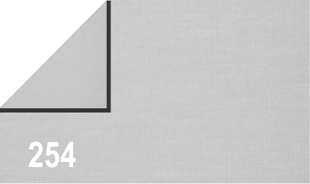 Fakro light filtering blinds 254