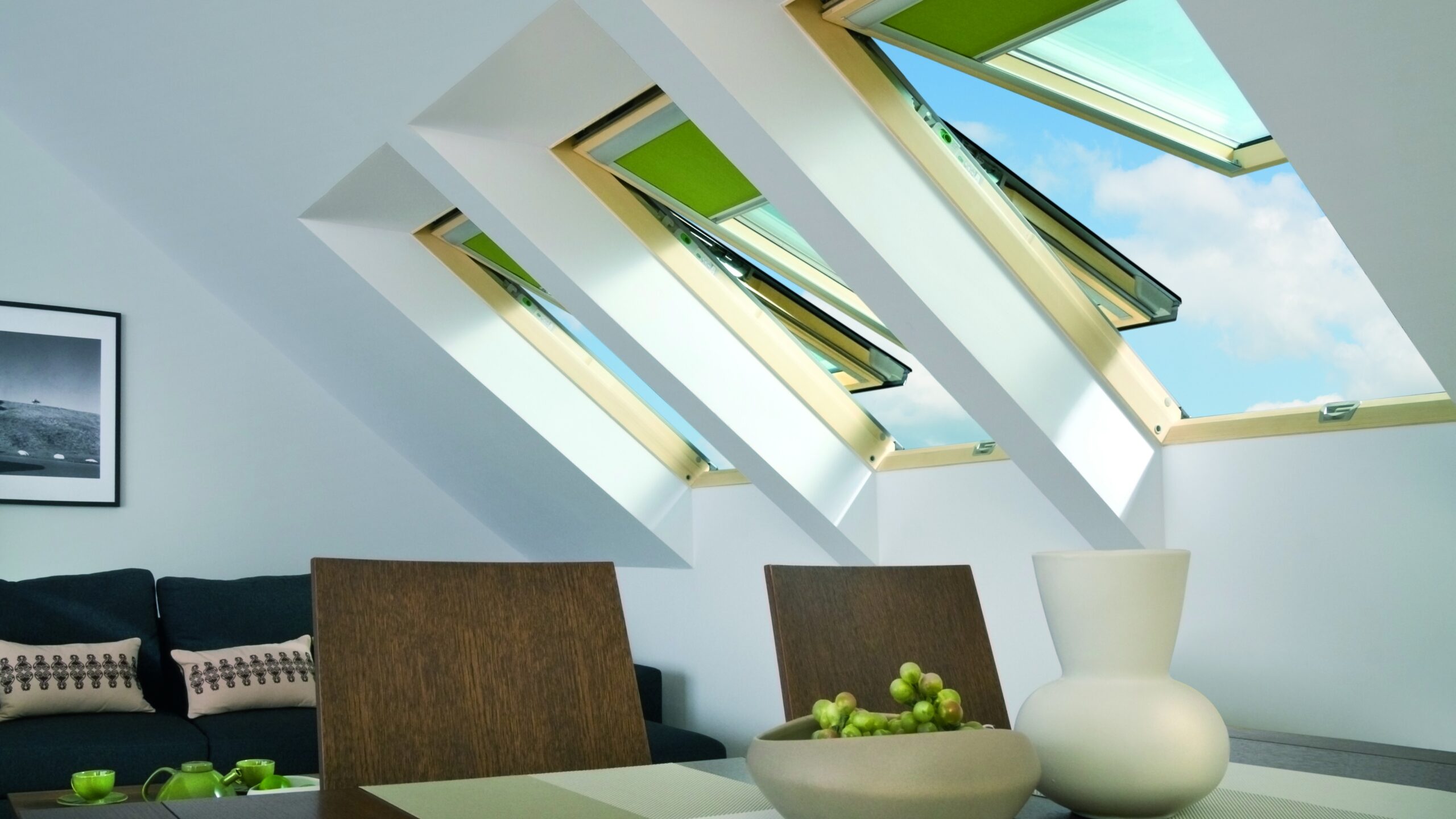 Living rooms dining room roof windows