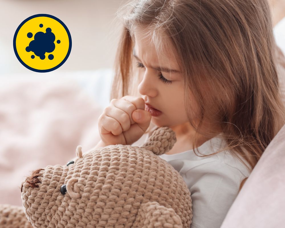 Reduce Airborn Pollutants