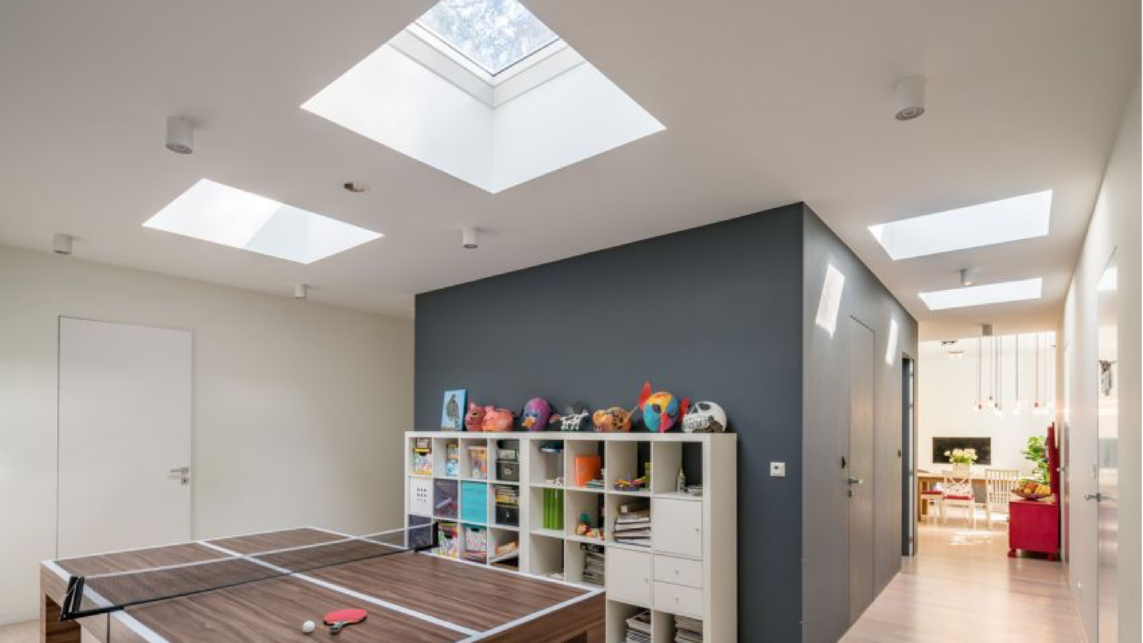 Skylights in family room