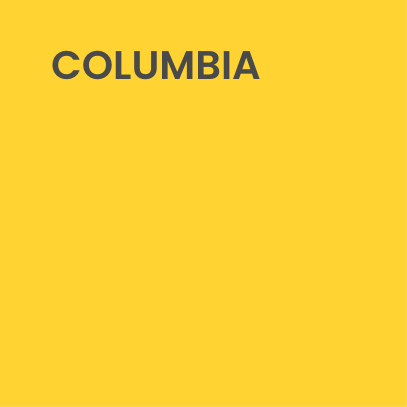 Lignes directrices de la marque 12 Columbia Yellow