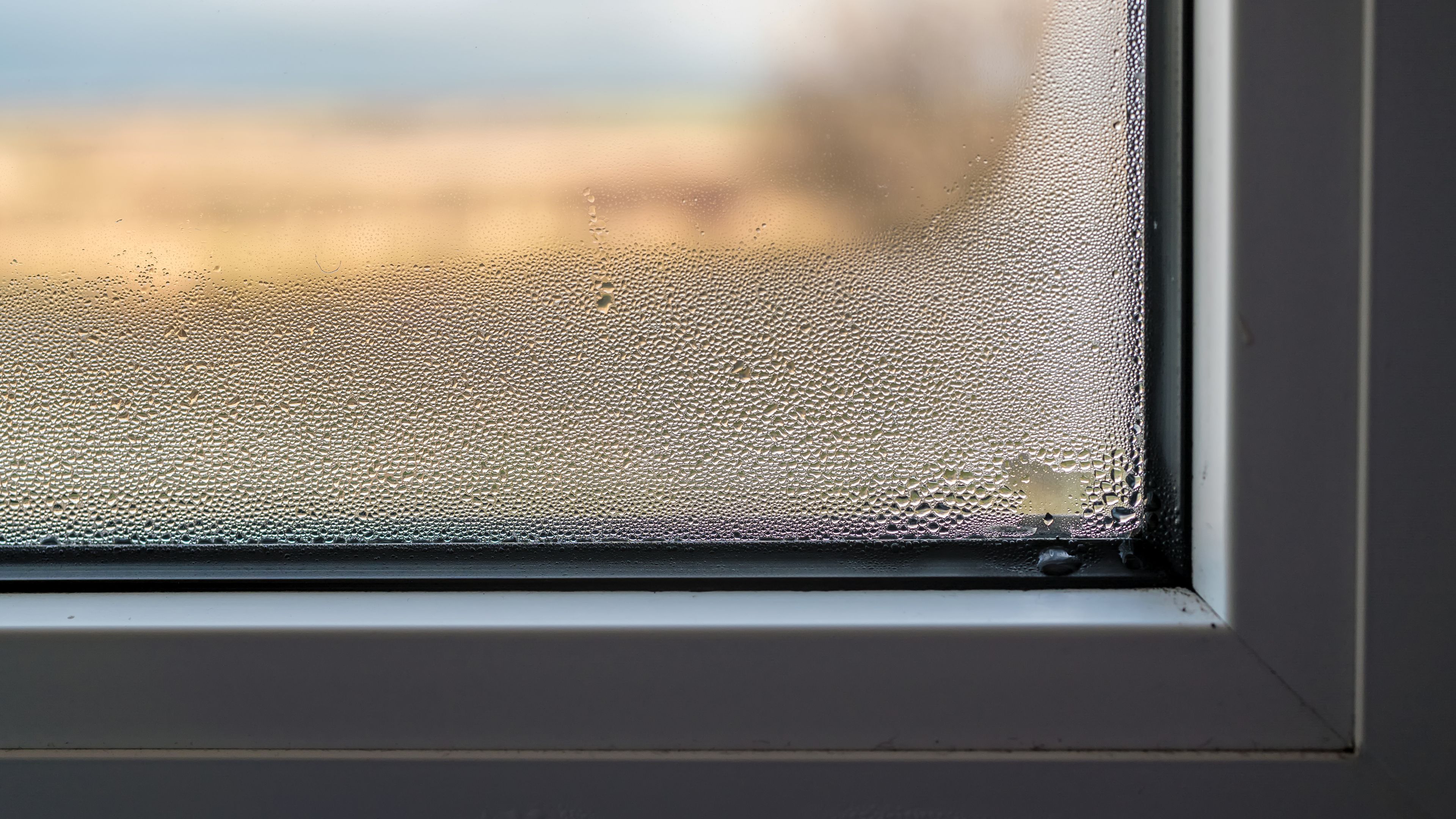 Condensation Control Moist Skylight Hero