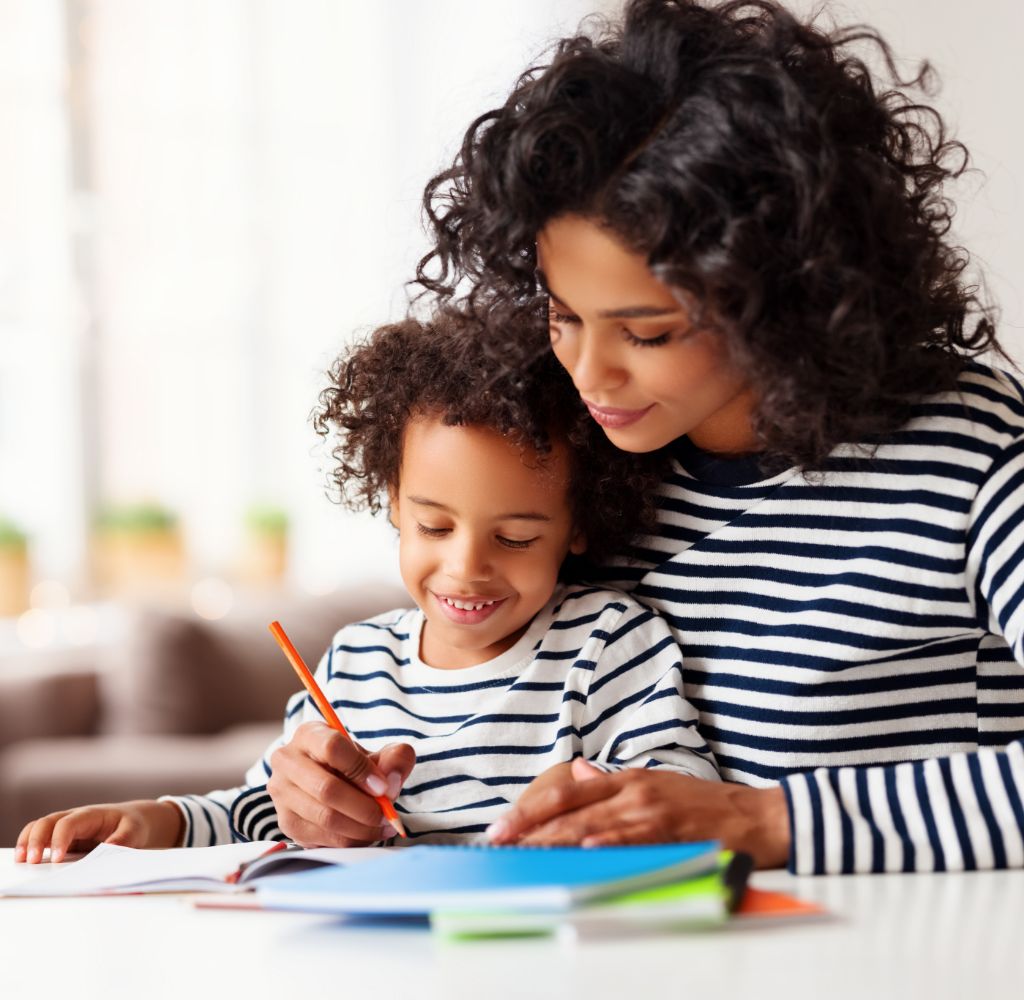 Home Schooling Mom Skylights
