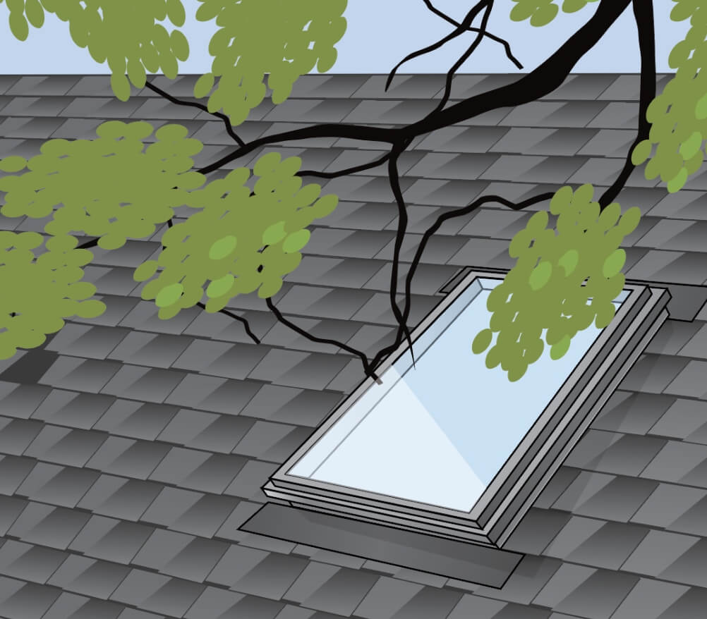 Service et entretien 8 Maintenance skylight branches