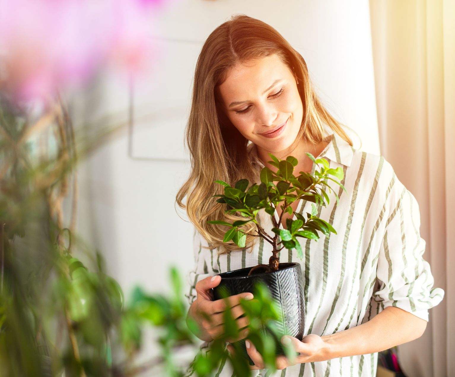 The Benefits of Natural Light 16 Natural Light For Indoor Plants