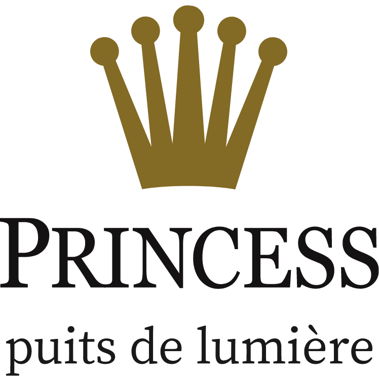 Historique 10 Princess Skylights Logo French
